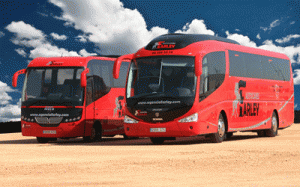 busesnuevos400